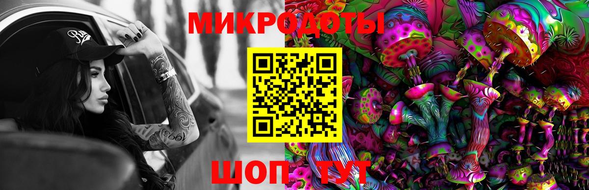 A PVP Нижневартовск