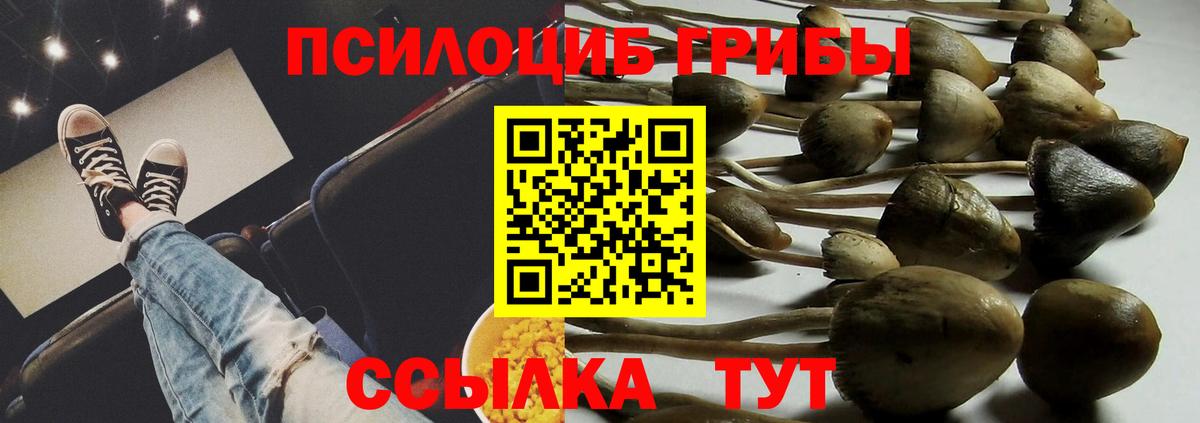 Галлюциногенные грибы Psilocybine cubensis  Вход с VPN  Нижневартовск  Псилоцибиновые грибы прущие грибы 